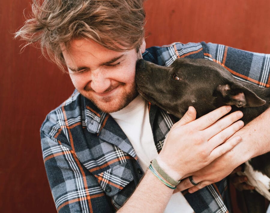 Haustierfreundliche Hoteletikette: Tipps für einen entspannten Aufenthalt mit Ihrem Tier