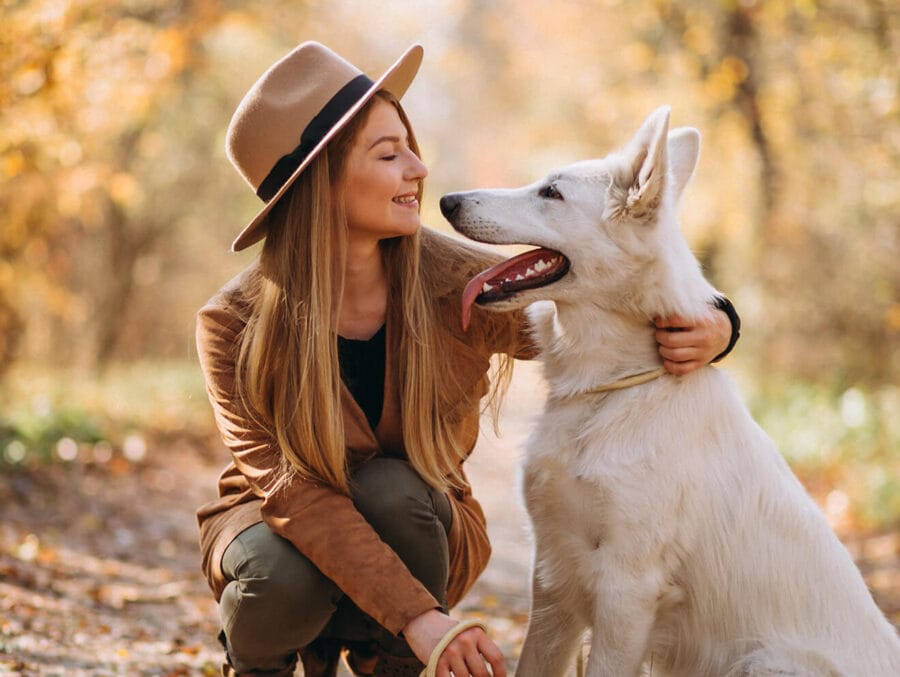 Hunde Tagesbetreuung